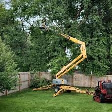 Mulching Services in Hartford, KY