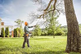 Hartford, KY Tree Services Company