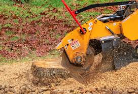 Best Arborist Consultation Services  in Hartford, KY