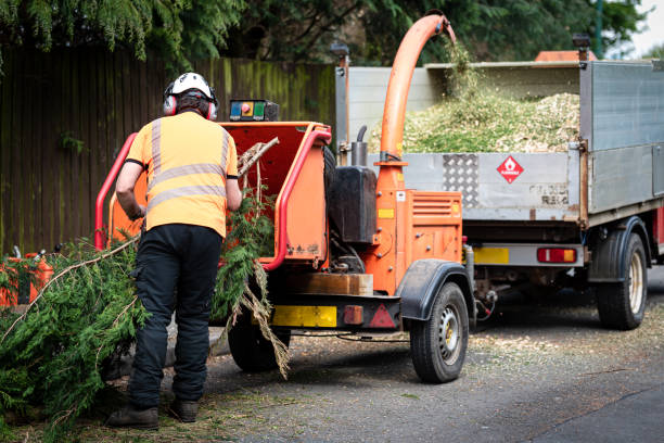 Best Commercial Tree Services  in Hartford, KY