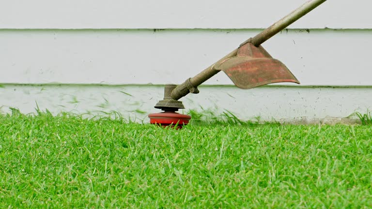 Best Lawn Watering Services  in Hartford, KY