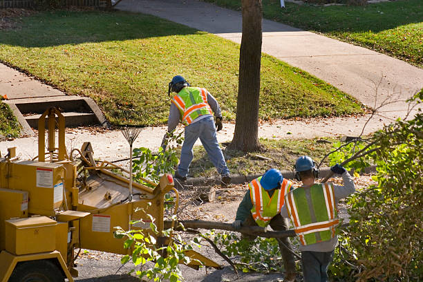 Best Soil Testing and Treatment  in Hartford, KY