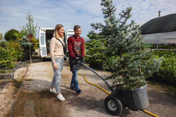 Best Weed Control  in Hartford, KY