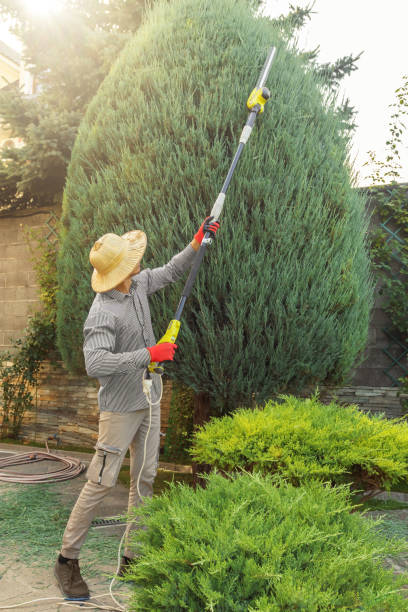 Best Lawn Pest Prevention  in Hartford, KY